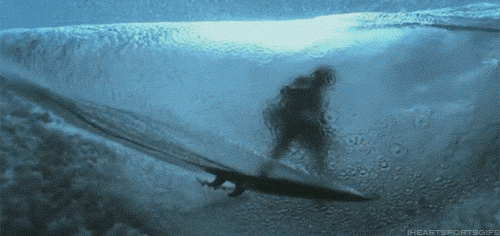 tumblr_6f115237dff86596d4edc0cd22d497dc_6feeaf08_500.gif