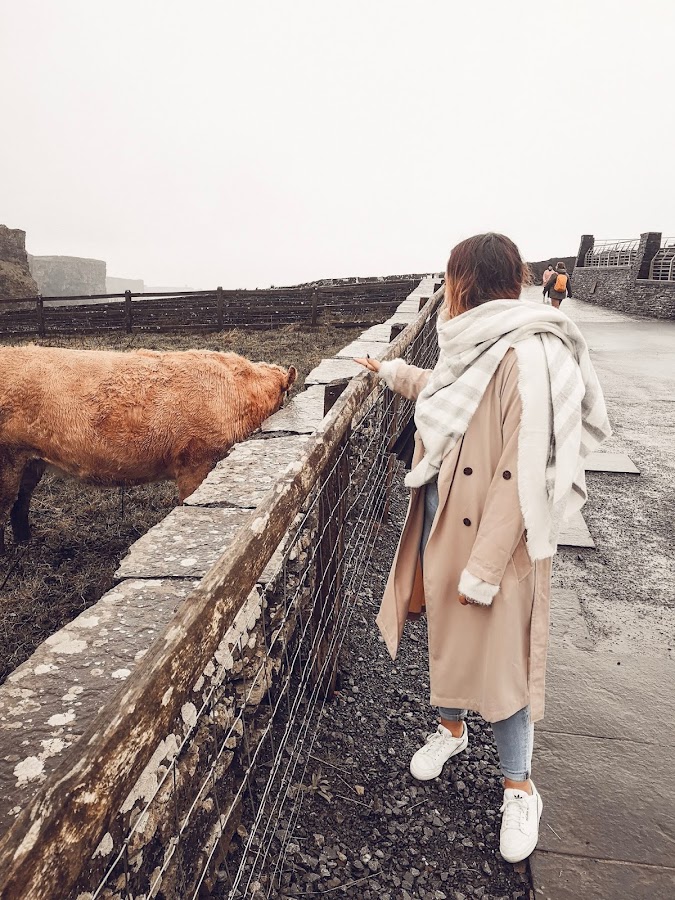 Cliffs of Moher, Ireland