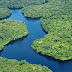 MEIO AMBIENTE / Ambientalistas preocupados: 'guru ambiental' de Bolsonaro aprova exploração estrangeira na Amazônia