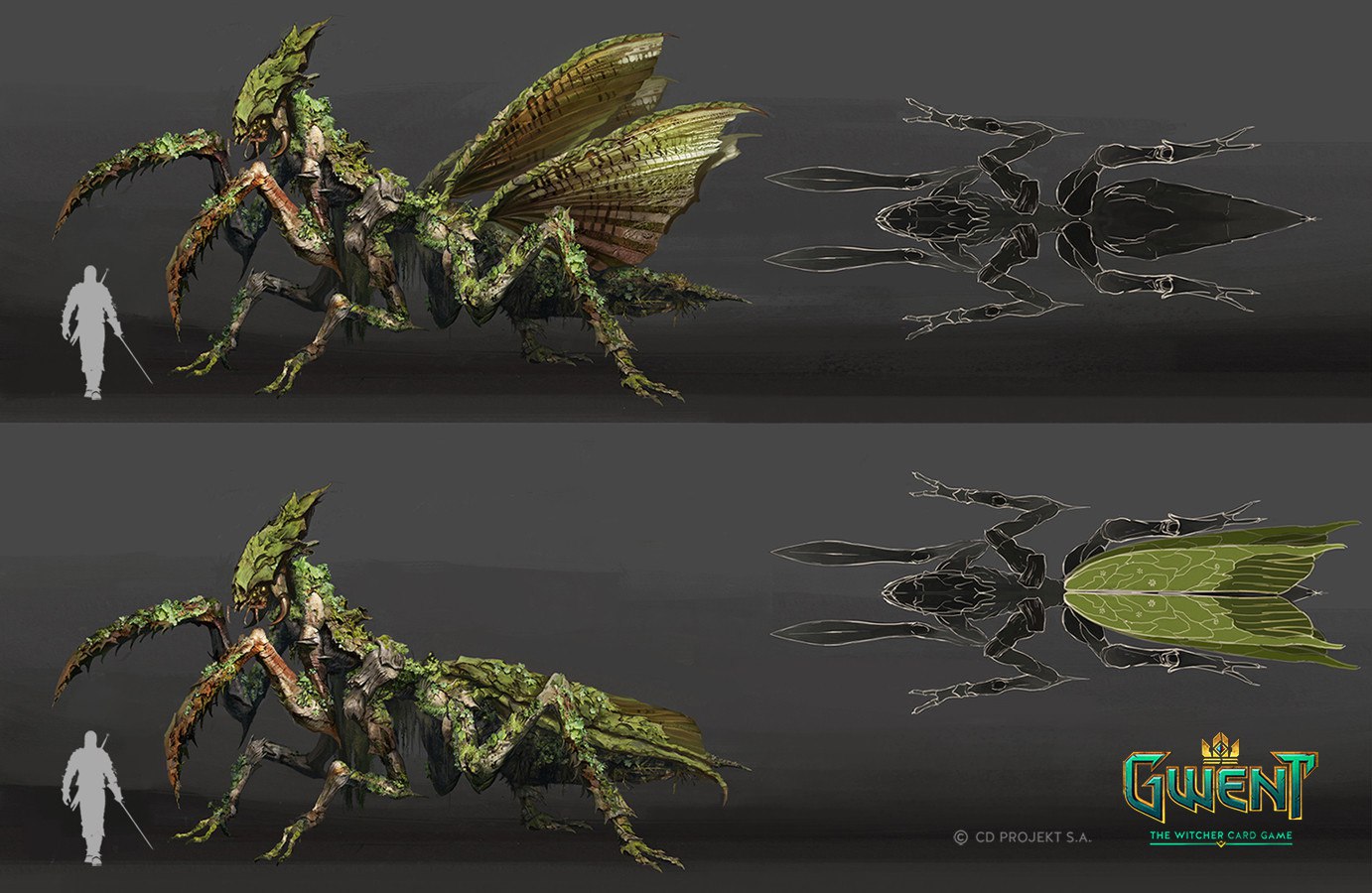 ведьмак химера саволла. ведьмак саламандры арт. химера ведьмак 1. ведьмак химера. ведьмак химера.