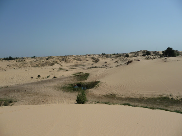 Национальный природный парк «Олешковские пески»