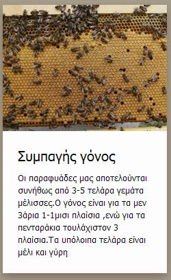 5 τελάρα γεμάτα μέλισσες