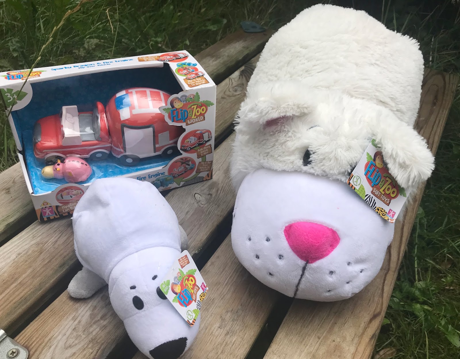 FlipaZoo World Toy Review Newcastle Family Life