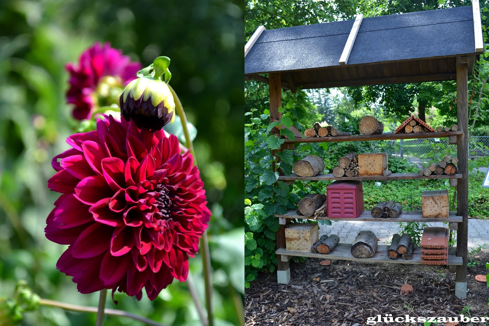 glückszauber Botanischer Garten Regensburg