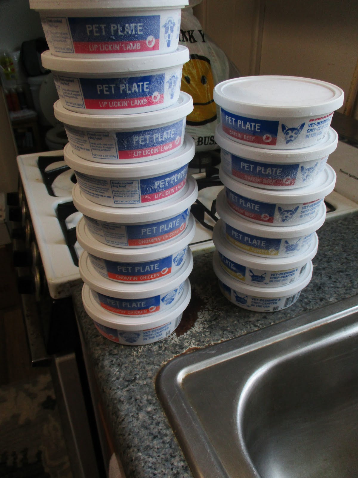 Missy's Product Reviews Pet Plate