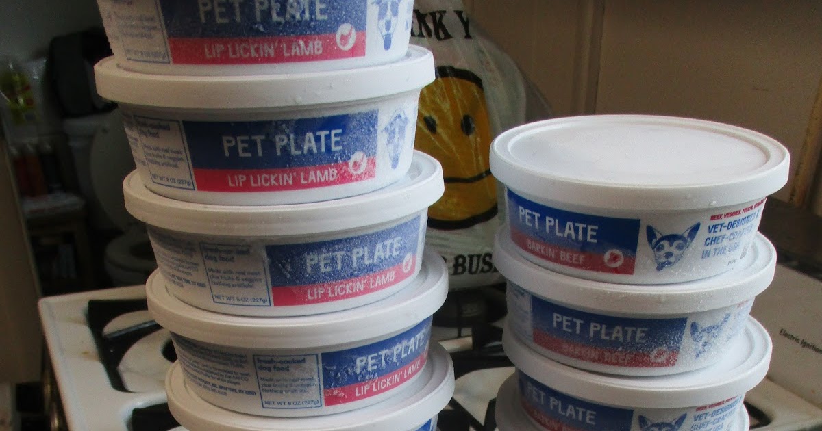 Missy's Product Reviews Pet Plate