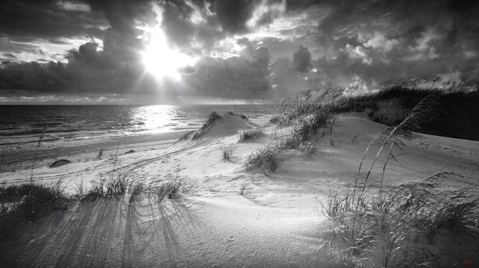 Clyde Butcher about Mood in your Landscape Photography Photography