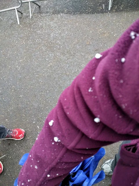 Tayto Park - Snow on my arm