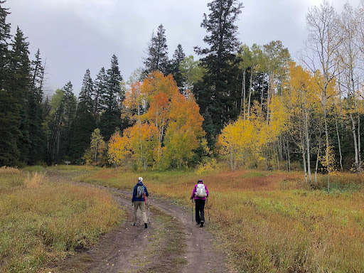 The Two Old Broads and Crash Hike Smack Dab Through Ms Autumn's Palette On Cutler Trail