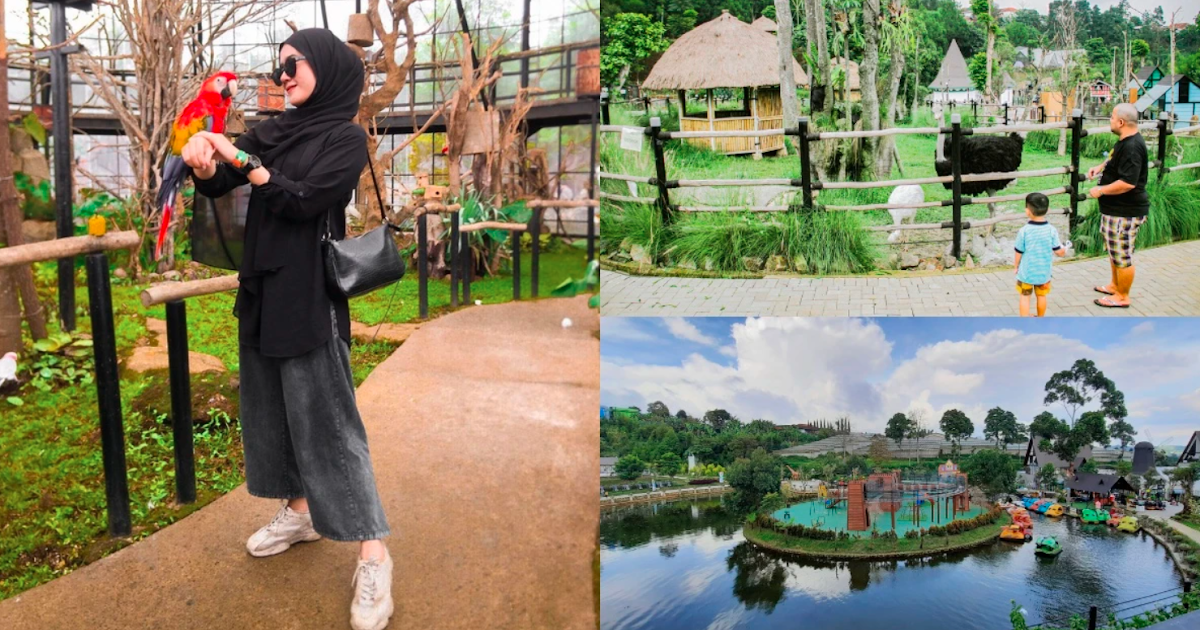 Lembang Park And Zoo Wisata Bandung Yc Travella Tour Bandung Error 404 Wisata Bandung Yc Travella Tour Bandung