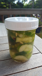 homemade cucumber pickles