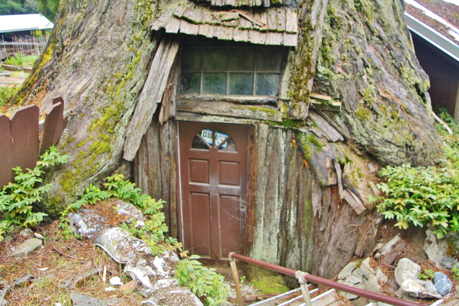 Francis Studios Eureka, Brookings and The Redwoods