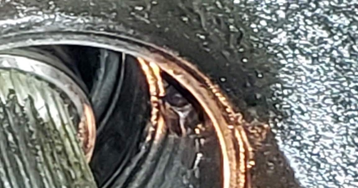 Auto Repair in Fillmore, UTAH 435.743.4869 Truck Repair shop in Fillmore Utah , 4357434869