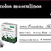 Anabolics #47 Ciclo de Primobolan e Masteron (Massa Magra/Cutt/ Médio)