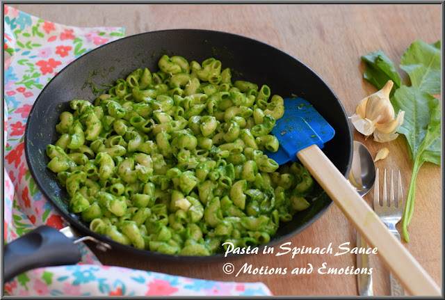 Pasta in Spinach Sauce or Macaroni in Spinach Sauce