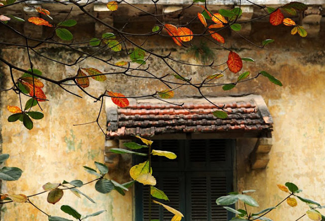 Immerse yourself in the colors of Hanoi autumn