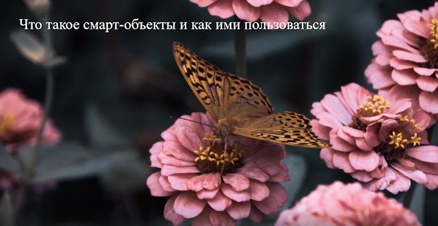 Что такое смарт-объекты и как ими пользоваться