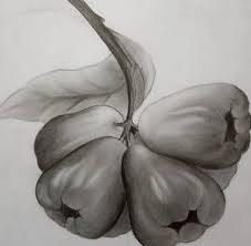 Media Dan Teknik Seni Rupa 2d