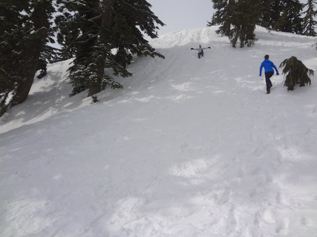 glissading down mt. seymour