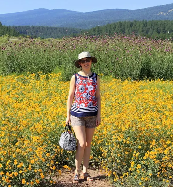 Calling all Instagrammers. These fields of flowers are just growing on the side of the road in Angel Fire, NM. They have the world's most beautiful wine festival setting without even trying.