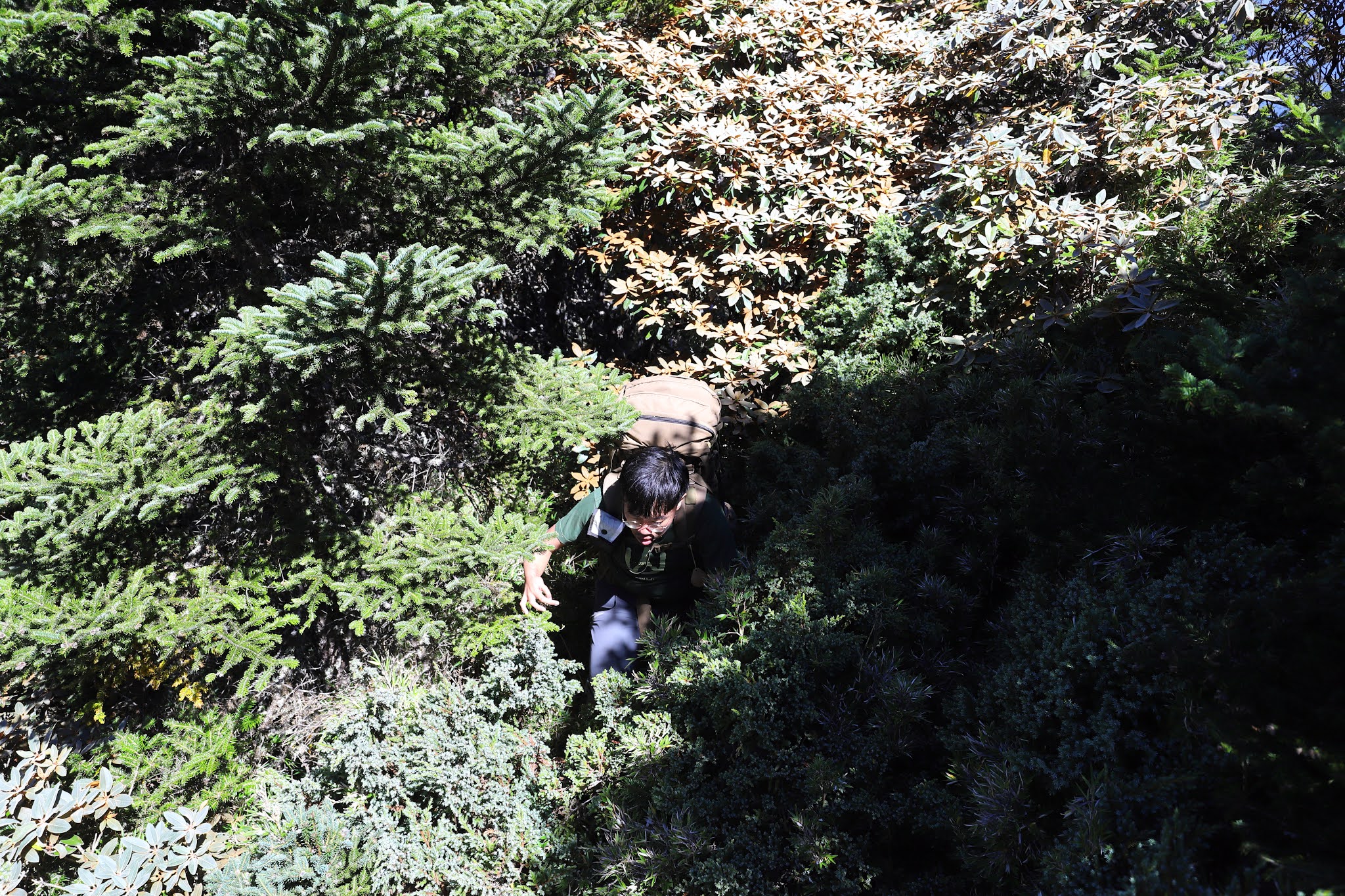 南湖北稜上南湖北山