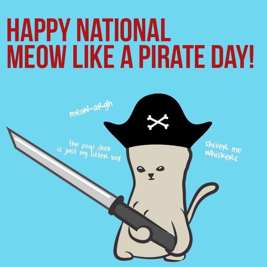 National Meow Like a Pirate Day National Meow Like a Pirate Day