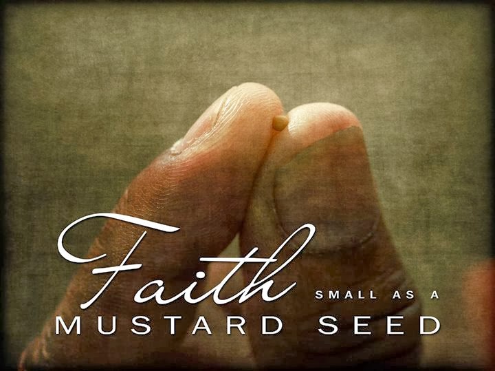 Faith Small as A Mustard Seed Quotes