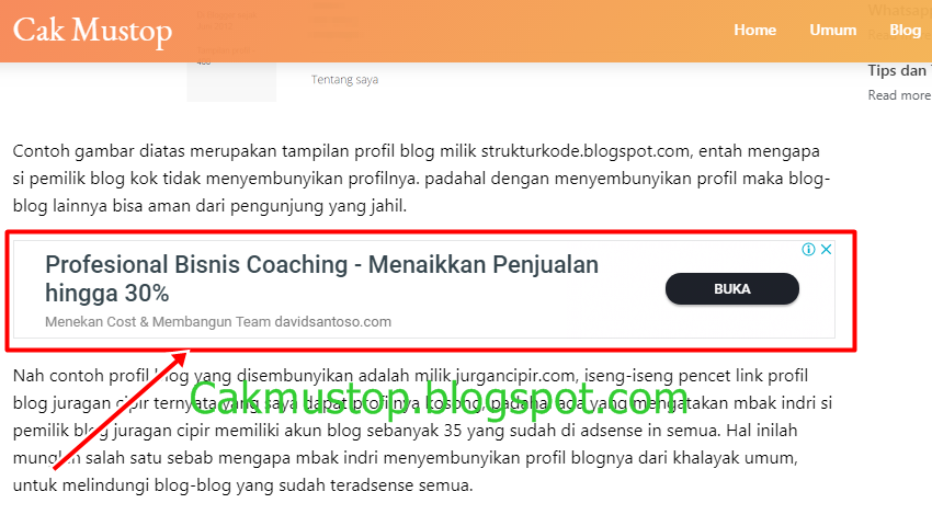 Rahasia Penempatan Iklan Adsense Terbaik untuk Maksimalkan Pendapatan: Panduan Lengkap