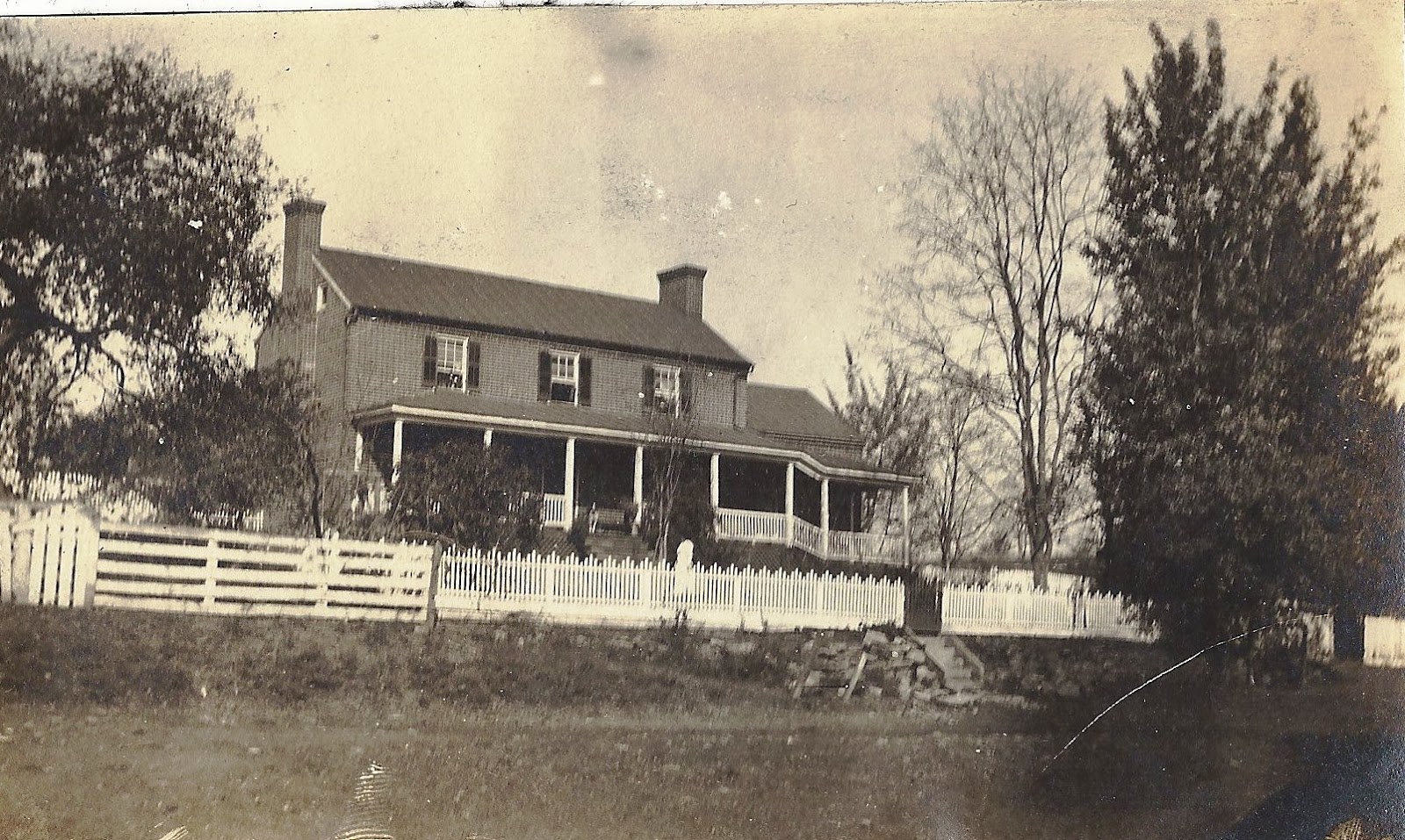 Trees, Leaves, Roots, & Shoots