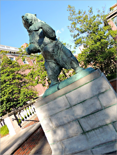 Escultura del Oso en el Campus de la Universidad de Brown, Providence Escultura del Oso en el Campus de la Universidad de Brown, Providence