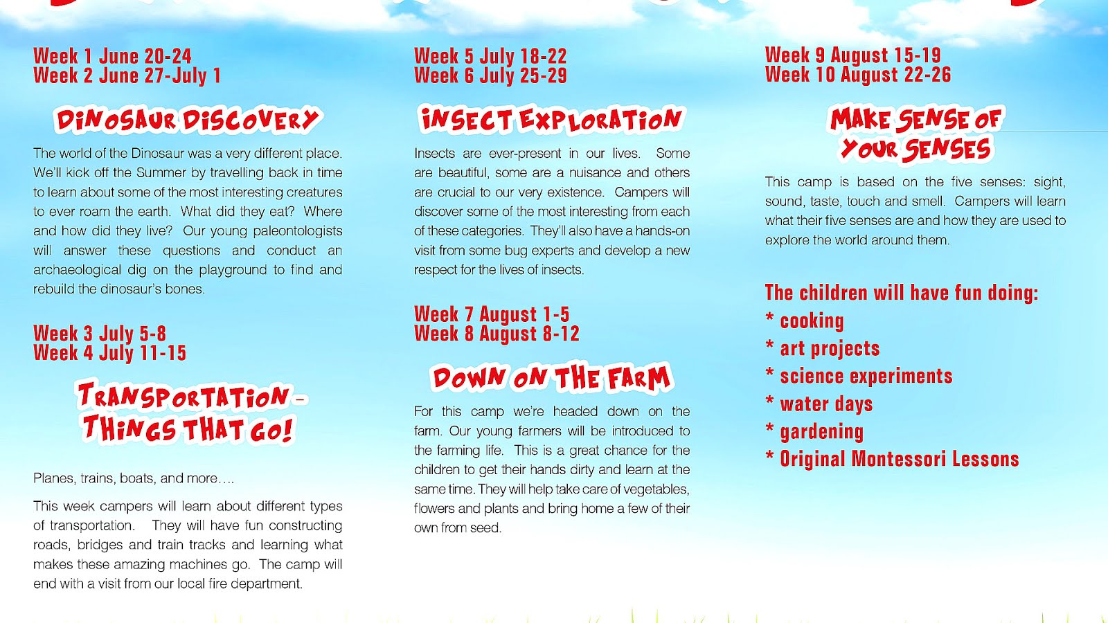 Summer Camp Themes And Activities Theme Choices