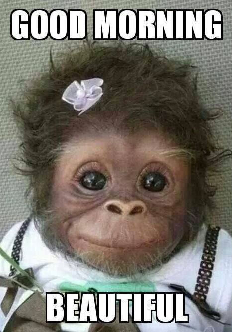 inspirational good morning messages