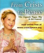From Crisis to Peace - ebook