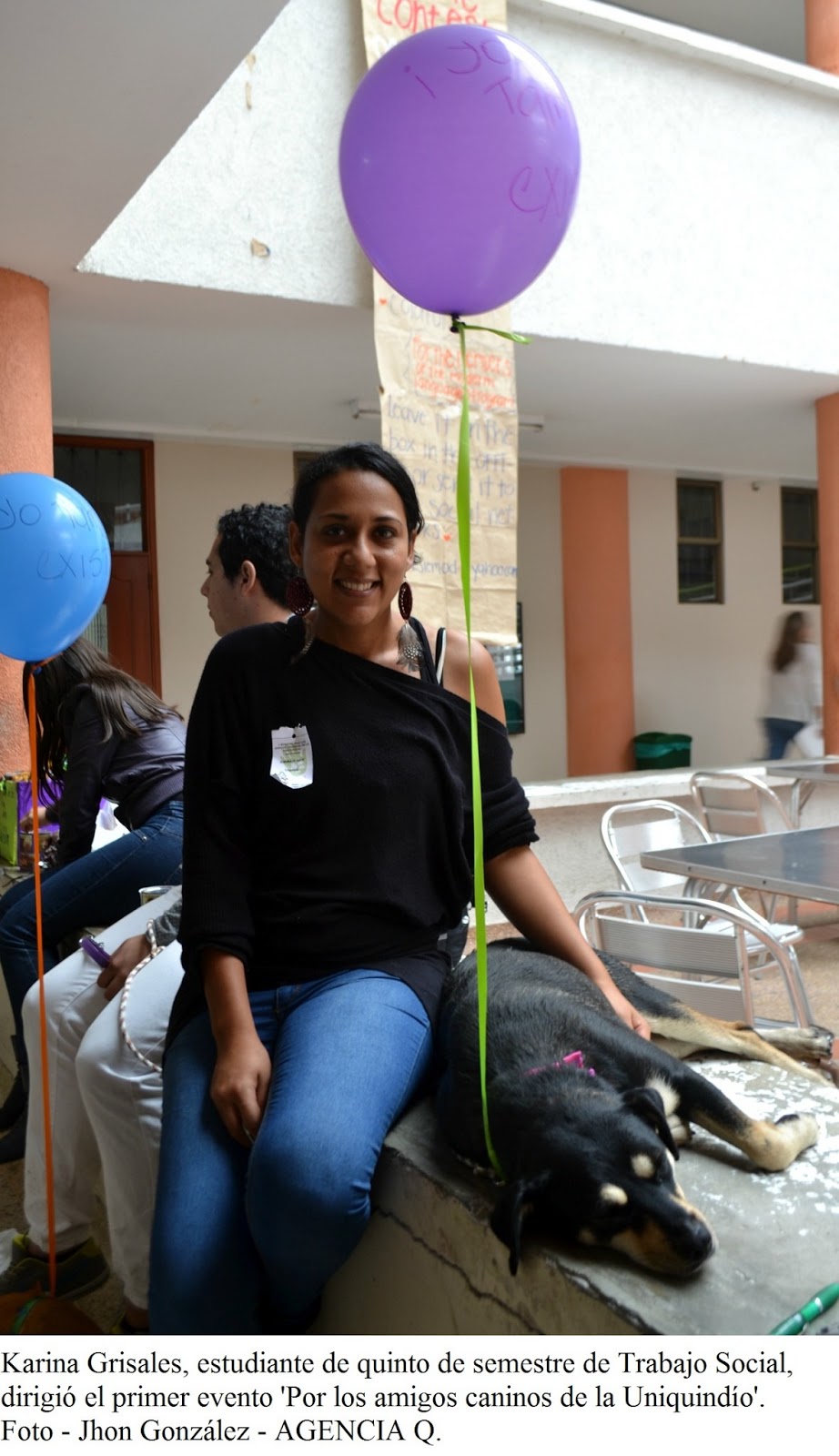 ¿Adiestramiento o educación canina? Descubre la mejor opción • Los Guardianes