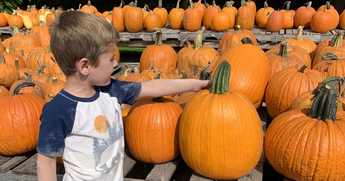 Mitchellville Pumpkinville