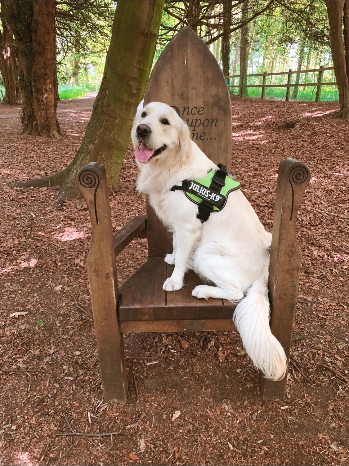 Normanby Hall Country Park
