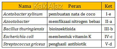 Tabel nama bakteri dan perannya yang sudah dibetulkan