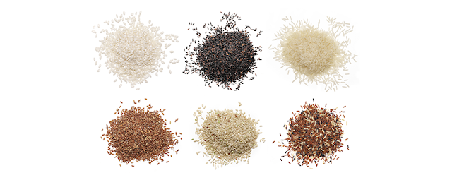 jenis jenis beras organik