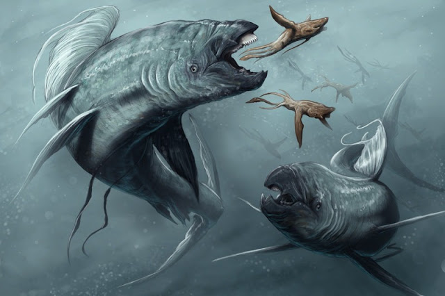 Диковинные зверушки Brynn 8