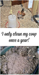 deep litter chicken method coop