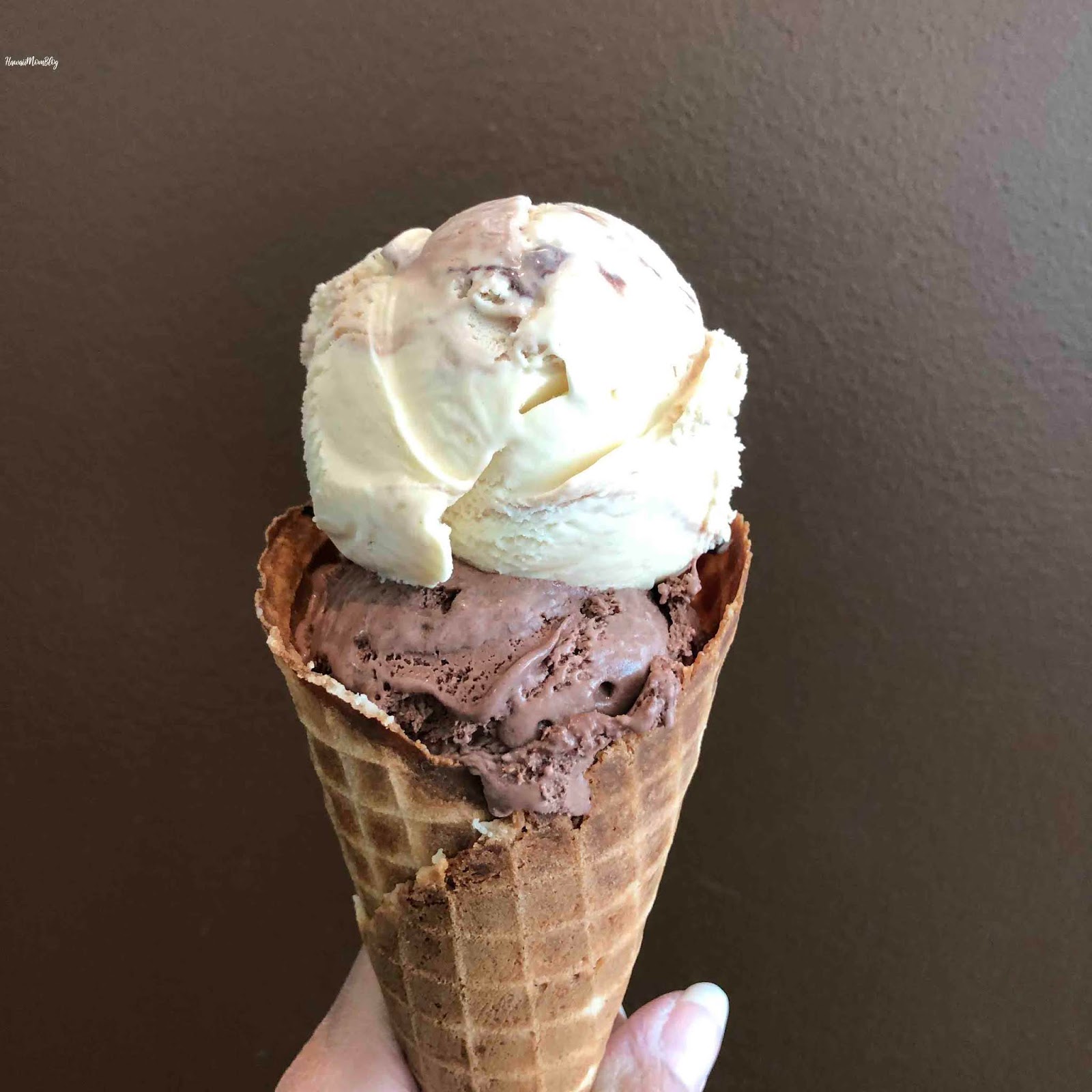 Hawaii Mom Blog Visit Missouri Glacé Artisan Ice Cream