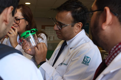 IMSS CAPACITÓ A SU PERSONAL PARA ATENDER PICADURAS DE ANIMALES PONZOÑOSOS