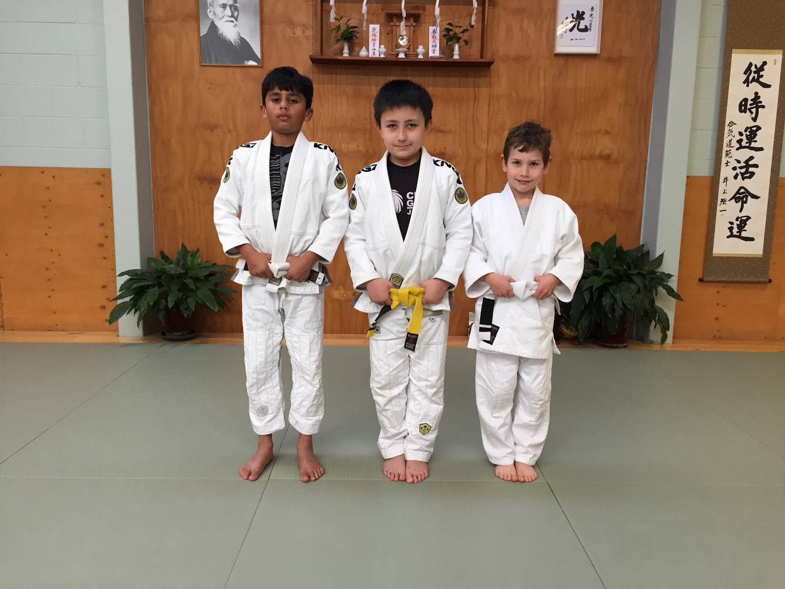 Auckland Kids BJJ Tuesday's arm bar session