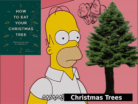 Christmas Tree Removal Pittsboro In 2022 Bump* Christmas Tree Disposal Info 2021/2022 And How To Eat Your Xmas Tree!