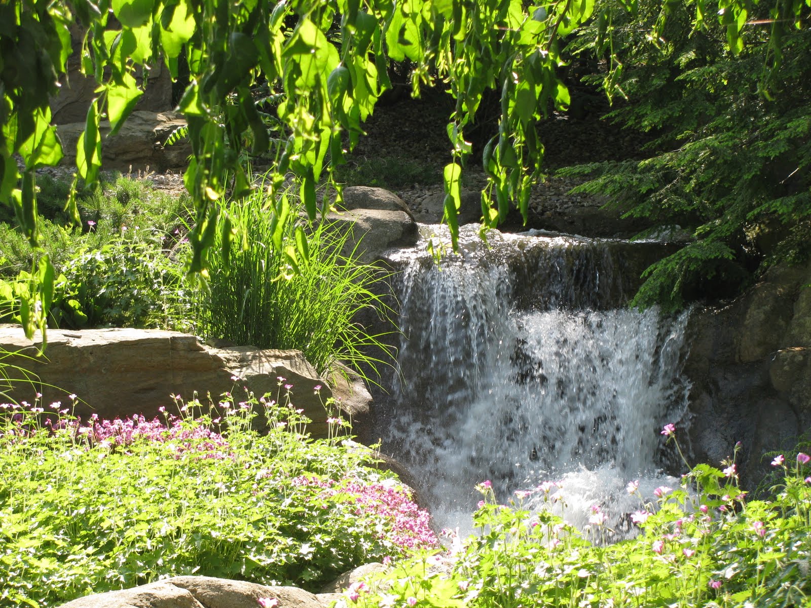 Delaware Green Acre: June 2011