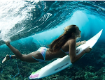 DAILY SURFER CHICKS