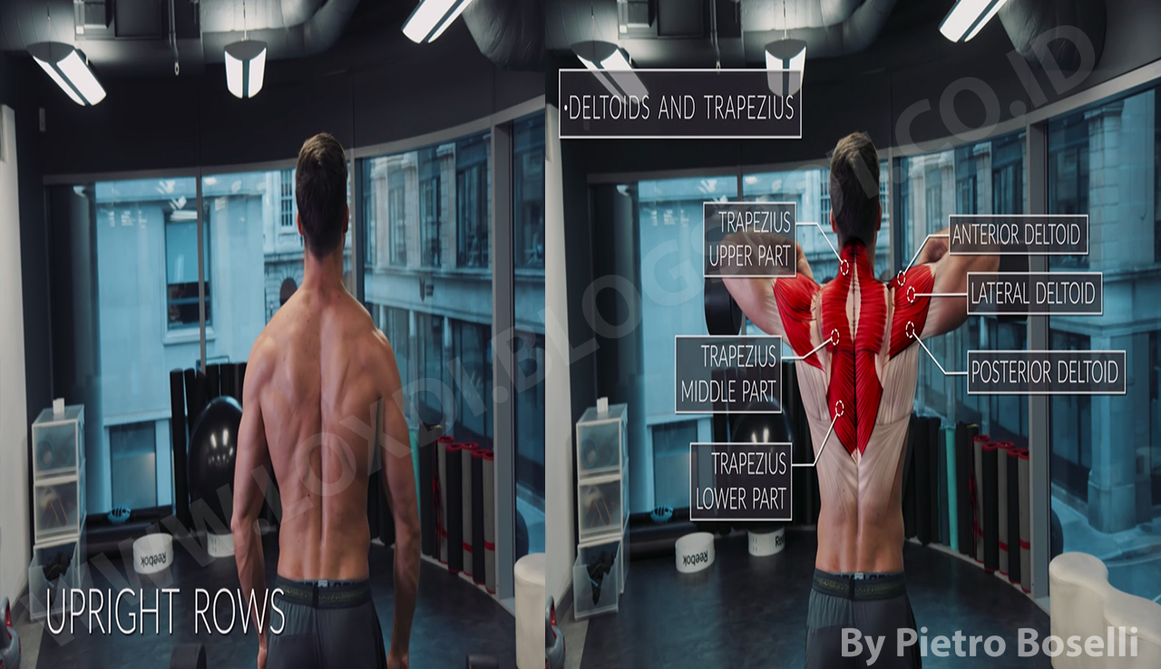 Cara memperkuat otot bahu beserta bagian otot yang bekerja - LOXDI