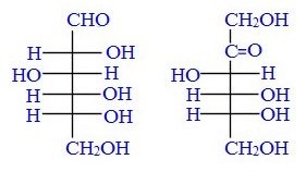 8%2B%25D1%2583%25D0%25B3%25D0%25BB В результате чего образуются моносахариды