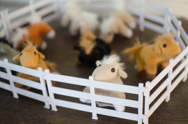 Pony Party Pony Party