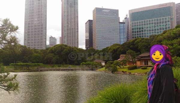 Taman Hama Rikyu Salah Satu Yang Tercantik di Tokyo Hama Rikyu, Taman Cantik Dan Bersejarah Di Tokyo 